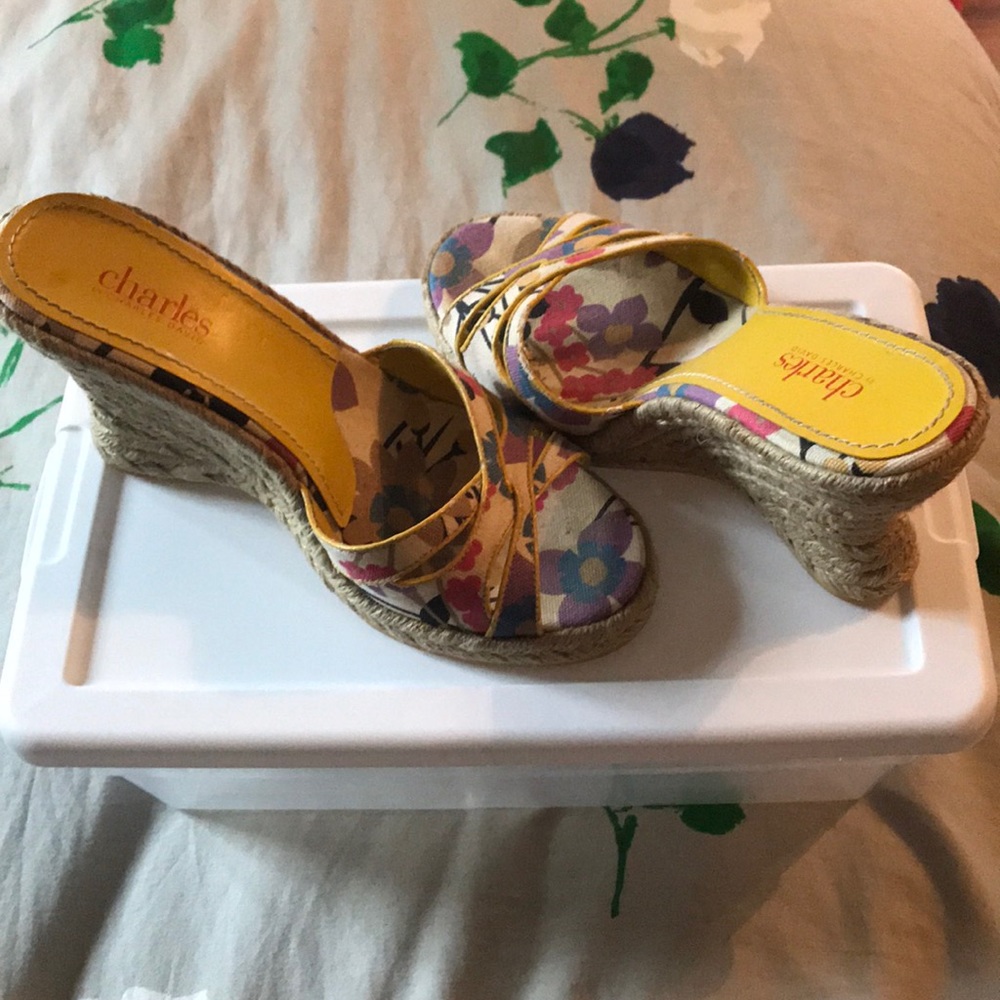 Charles David Sandal